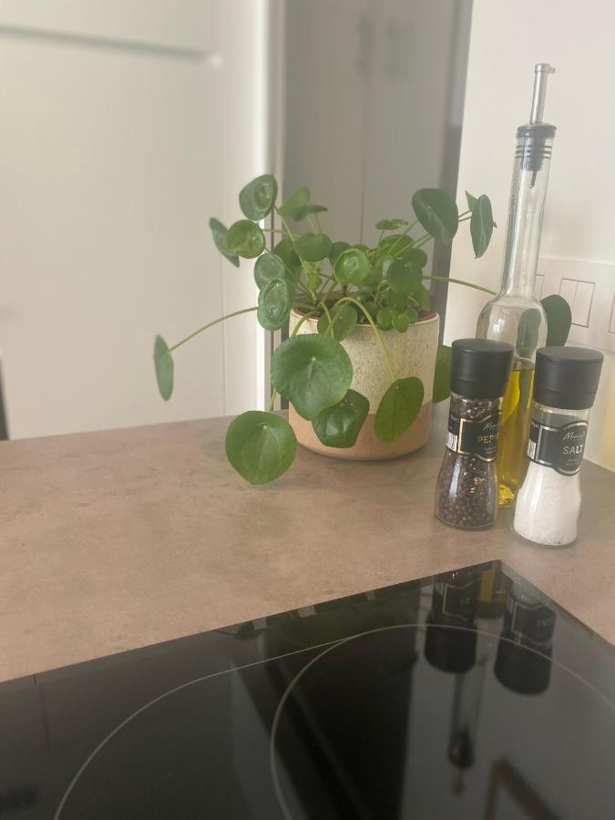 Elizee Lägenhet Oostende Exteriör bild
